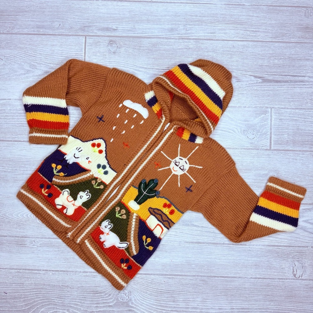 Native Import Arpillera Handmade Peruvian Zip Sweater Multicolor Hooded knit